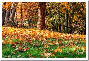 Albuquerque NM Back Pain