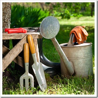 Spinal Health Gardening Albuquerque NM