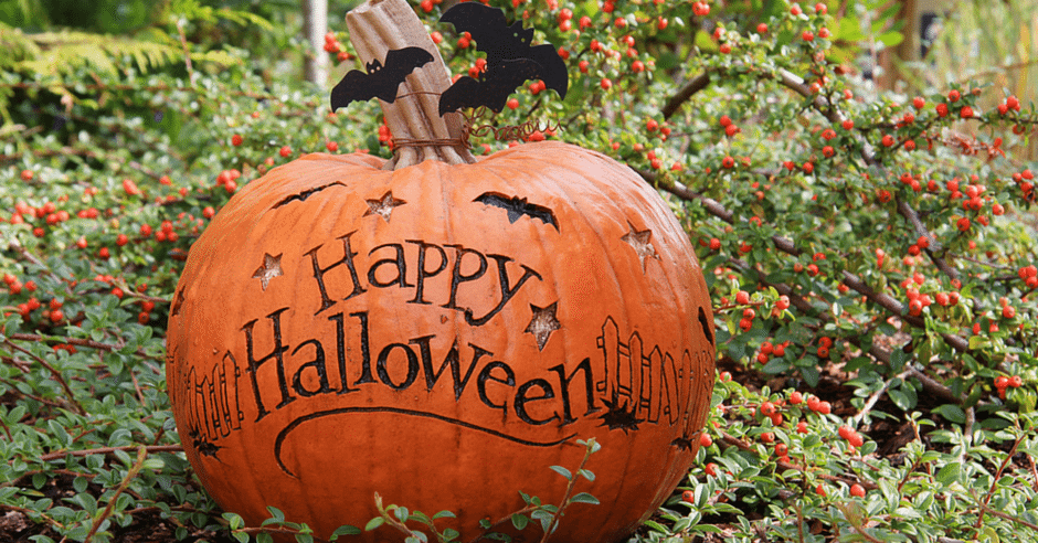 Happy Halloween 2015 Albuquerque NM