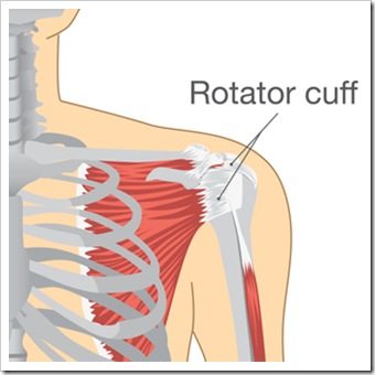 Shoulder Pain Albuquerque NM Rotator Cuff Injury